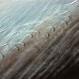 Шувууны өдний нарийн бүтэц, хооронд нь холбох дэгээнүүд ч харагдаж байна