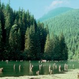 Улаан нуур (Румын)