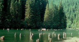 Улаан нуур (Румын)