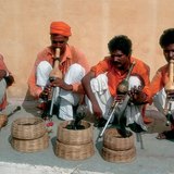 Snake charmers in the street (India)