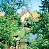 Ногооны зоорь