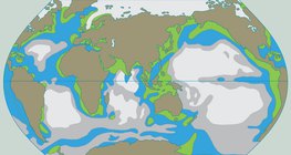 Усны шим тэжээлийн агууламж