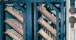 Инкубатор дахь өндөгнүүд