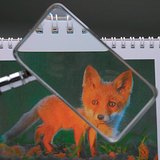 Гүдгэр линз