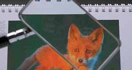 Гүдгэр линз