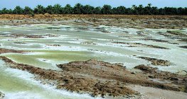 Түр зуур үүсэх нууруудын ууршилтаас үүссэн давсан давхарга