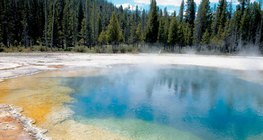 Hot spring in Yellowstone National Park