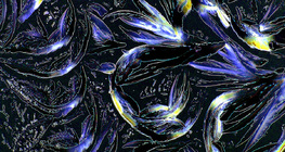 Глициний (амин хүчил) талстууд