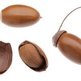 Царсны боргоцой