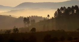 Манант өглөө