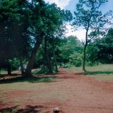 Мексик дэх латерит хөрс