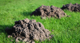 Сохор номингийн овоонууд