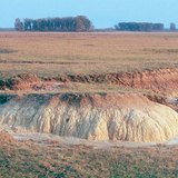 Saline pads on Hortobágy