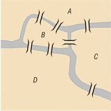 Кенигсбергийн долоон гүүр