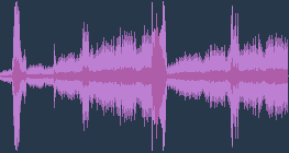 European herring gull