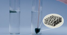 Нүүрс нь хөндий бүтэцтэй тул усны гадаргуу дээр хөвдөг