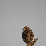 Гэрийн бор шувуу (эмэгчин)