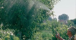 Халгайн шүүсээр шүрших