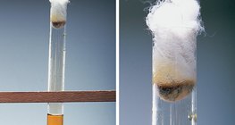 Бромын ус нь калийн иодидтой урвалд ордог