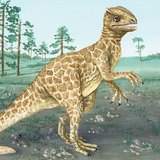 Юрийн галавын үеийн үлэг гүрвэл