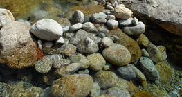 Хайрган далан