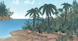 Юрийн галавын үеийн ургамал