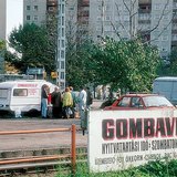 Gombavizsgáló