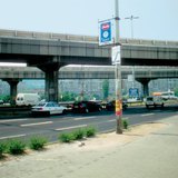 Бетон ширэнгэн ой