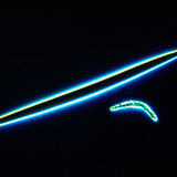 Хөвөнгийн гуурс - микросклер ба мегасклерууд (Spongilla lacustris)