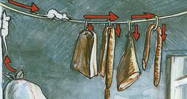 Агуулах болон зооринд байгаа гэрийн хулгана