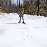 Цасны модон ул