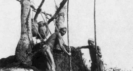 Shadoof, Египетийн уламжлалт услах төхөөрөмж