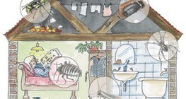 Орон сууцны барилгуудад янз бүрийн үе хөлтнүүд амьдардаг