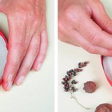 Намрын үр жимсээр товгор чимэглэл хийх - 1-р алхам