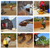 Усны хомсдол