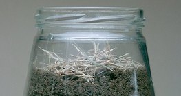Чийгийн улааныг ажиглах туршилтын хэрэгсэл