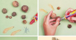 Намрын үр жимсээр чимэглэл хийх