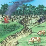 A természeti környezet veszélyeztetése az egyenlítői övben