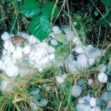 Мөндөр орсоны дараа