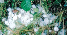 Мөндөр орсоны дараа