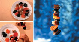 Гэртээ хийж болох өвлийн шувууны идэш