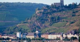 The picturesque Rhine Valley
