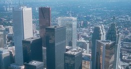 Торонто хот