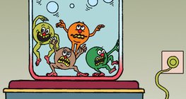 Бөөмсийн илүү эрчтэй хөдөлгөөнийг өндөр температур илэрхийлдэг