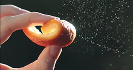 Эфирийн тос - жүржийн хальс