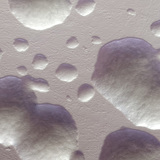 E. coli бактерийн колони оригиналь өнгөөрөө (цагаан)