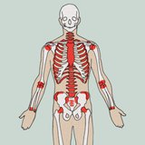 Цусны эсүүд үүсдэг газрууд