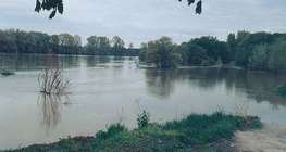 Дунай мөрний түвшний хэлбэлзэл – 1