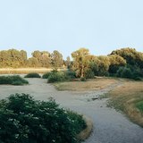 Дунай мөрний түвшний хэлбэлзэл – 2