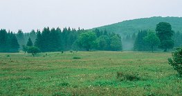 Бүккийн өндөрлөг (Унгар улс)